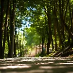 Edison Poznan Lotnisko Lawica 3* Baranowo (Gmina Tarnowo Podgorne)