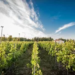 Hotel Edison Poznan Lotnisko Lawica 3*