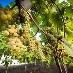 Edison Poznan Lotnisko Lawica Hotel