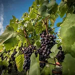 Edison Poznan Lotnisko Lawica Hotel 3*