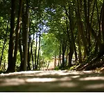 Edison Poznan Lotnisko Lawica