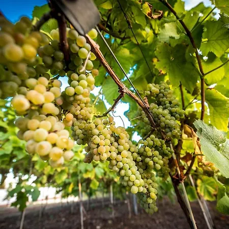 Edison Poznan Lotnisko Lawica Hotell