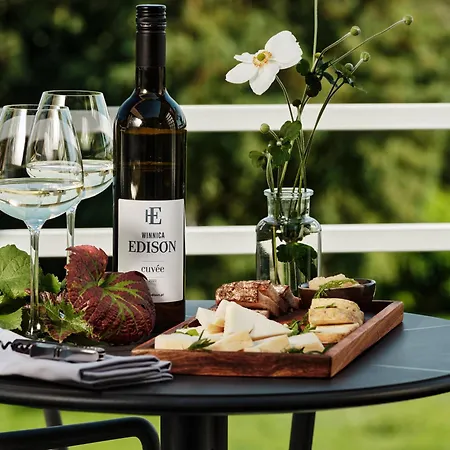 Hotel Edison Poznan Lotnisko Lawica 3*