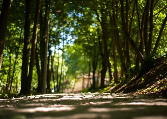 Edison Poznan Lotnisko Lawica 3* Baranowo (Gmina Tarnowo Podgorne)