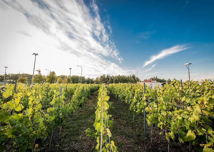 Hotel Edison Poznan Lotnisko Lawica 3*