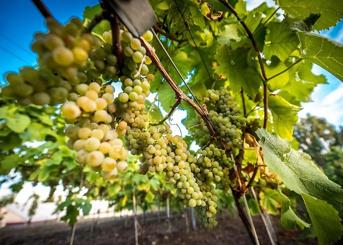 Edison Poznan Lotnisko Lawica Hotel