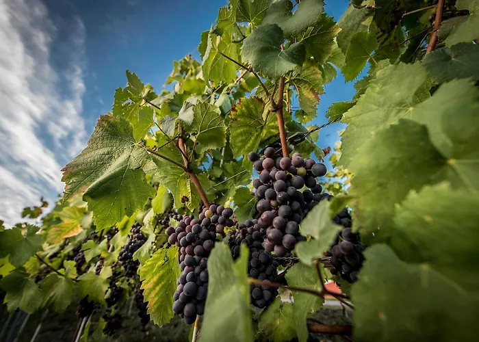 Edison Poznan Lotnisko Lawica Hotel 3*