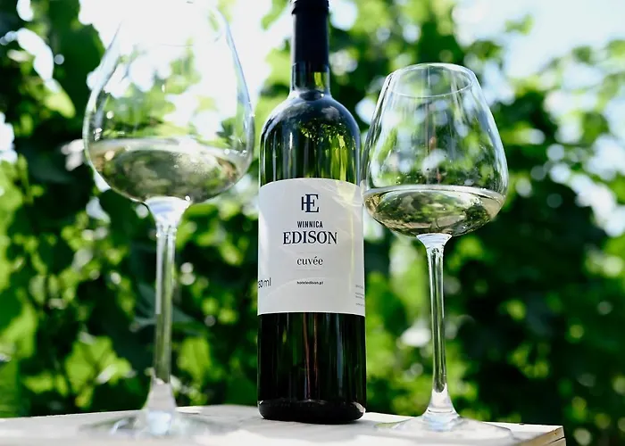 Hotel Edison Poznan Lotnisko Lawica