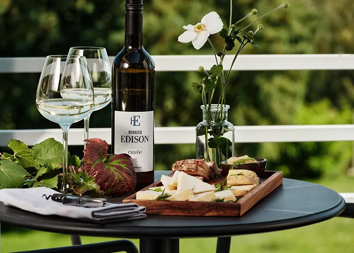 Hotel Edison Poznan Lotnisko Lawica 3*