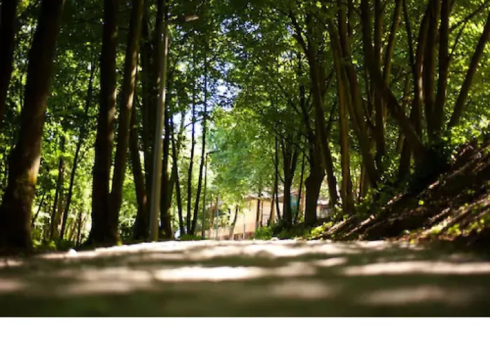 Edison Poznan Lotnisko Lawica